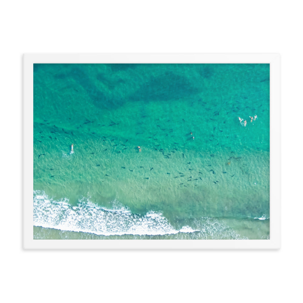 Sharks & swimmers Framed poster
