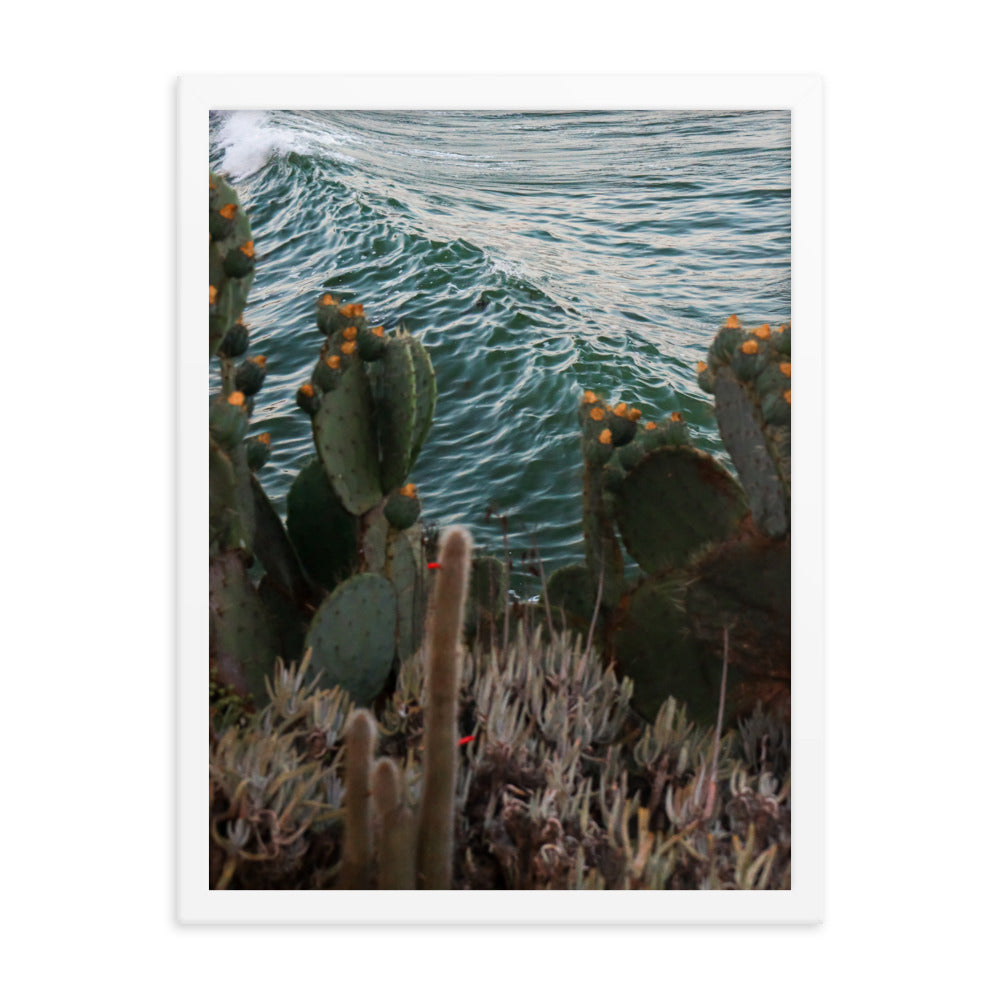 Cactus Surf Framed poster