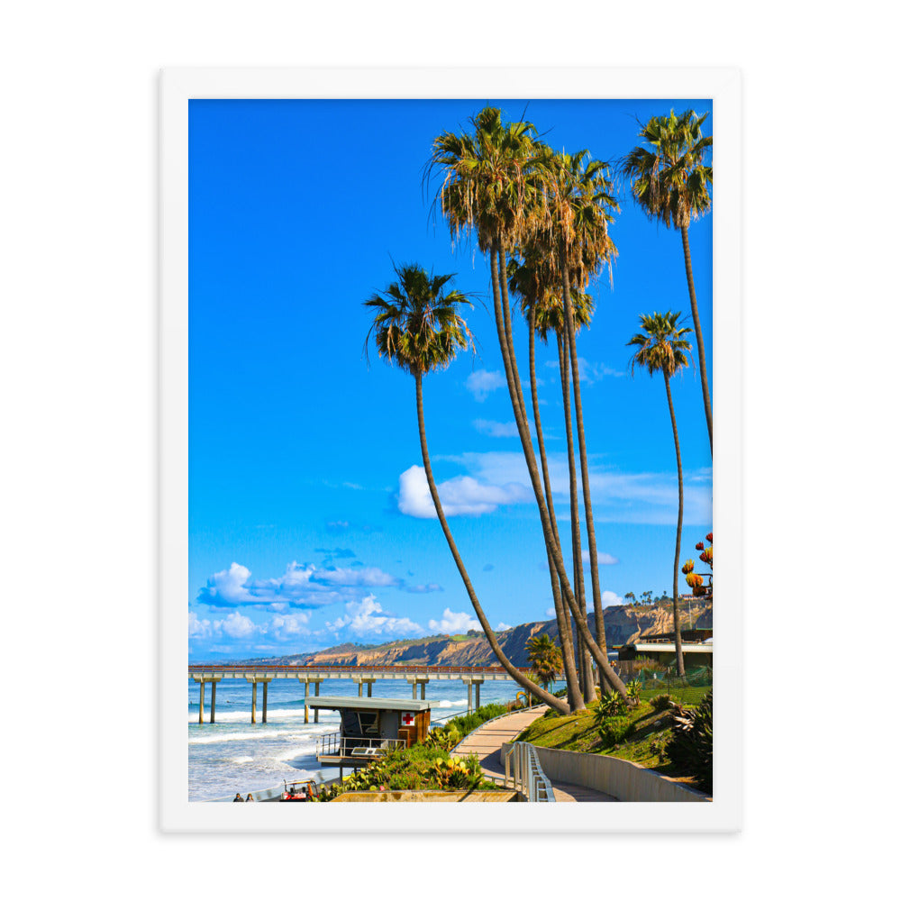 Walking To Scripps Pier Framed poster