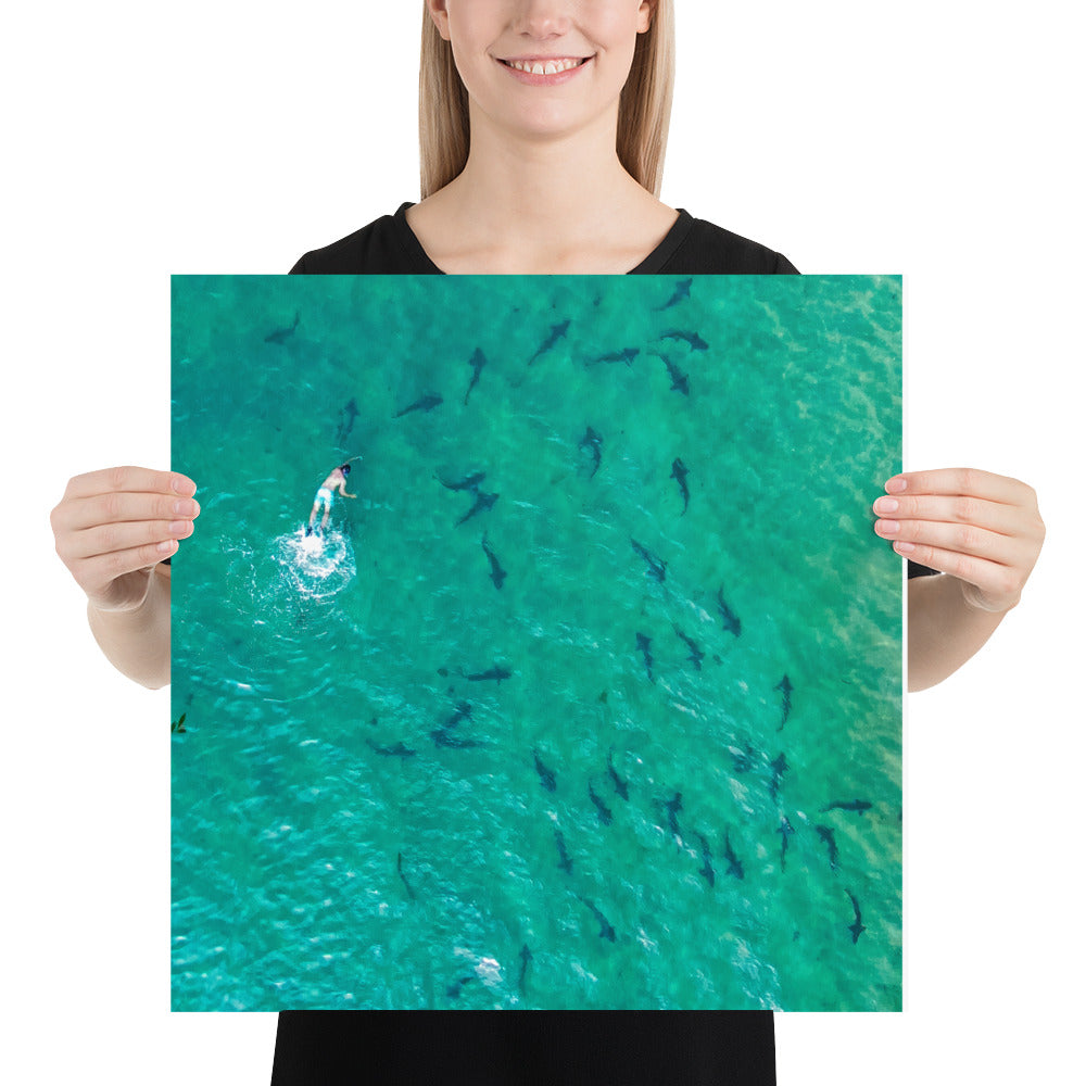 Swimming With Sharks Poster