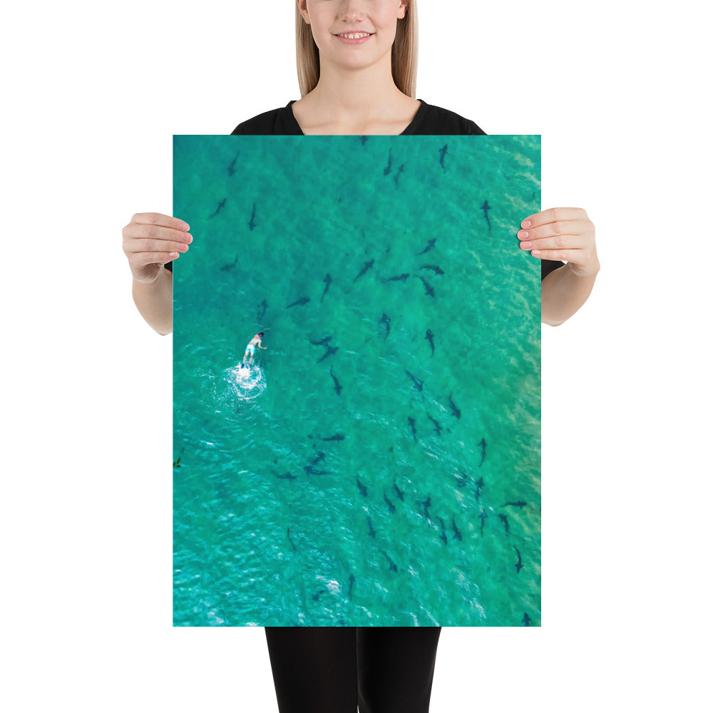 Swimming With Sharks Poster