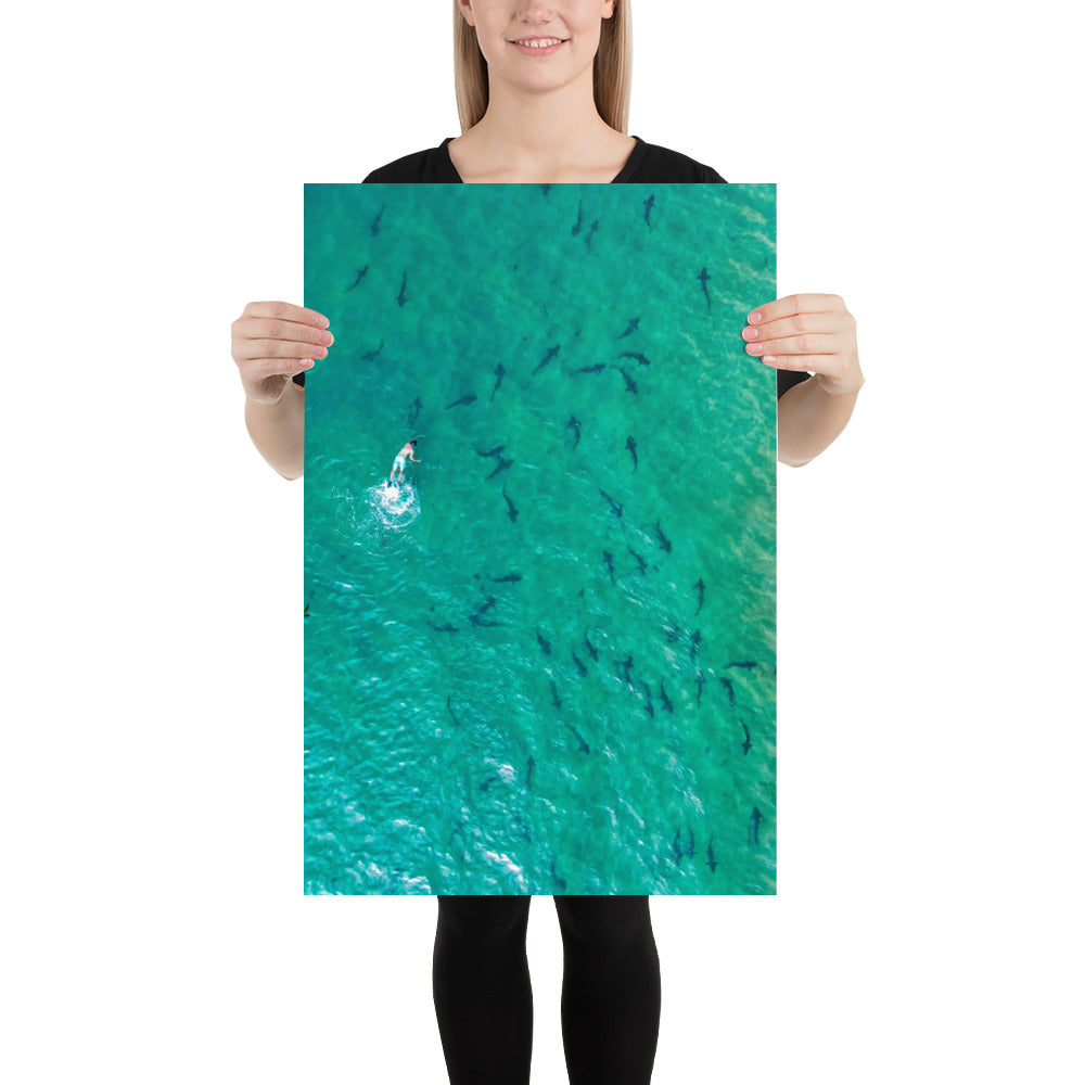 Swimming With Sharks Poster