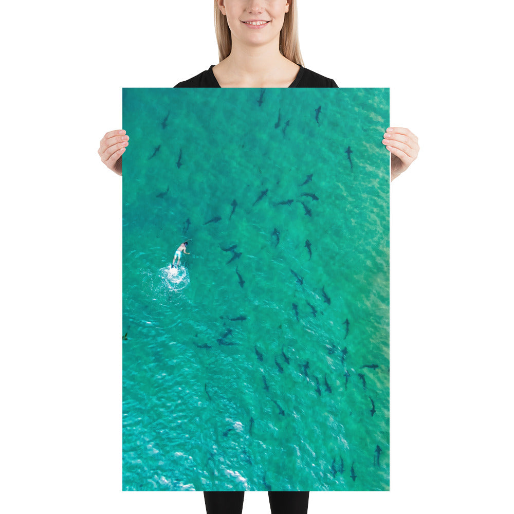 Swimming With Sharks Poster