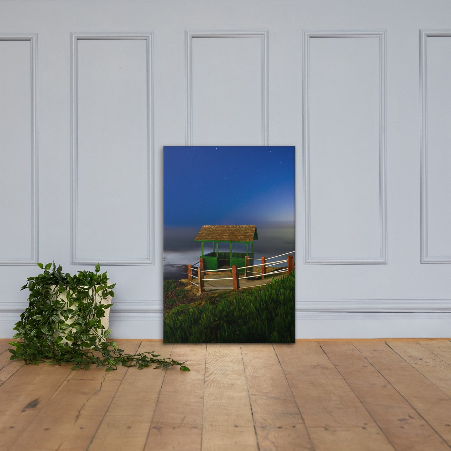 Belvedere Canvas