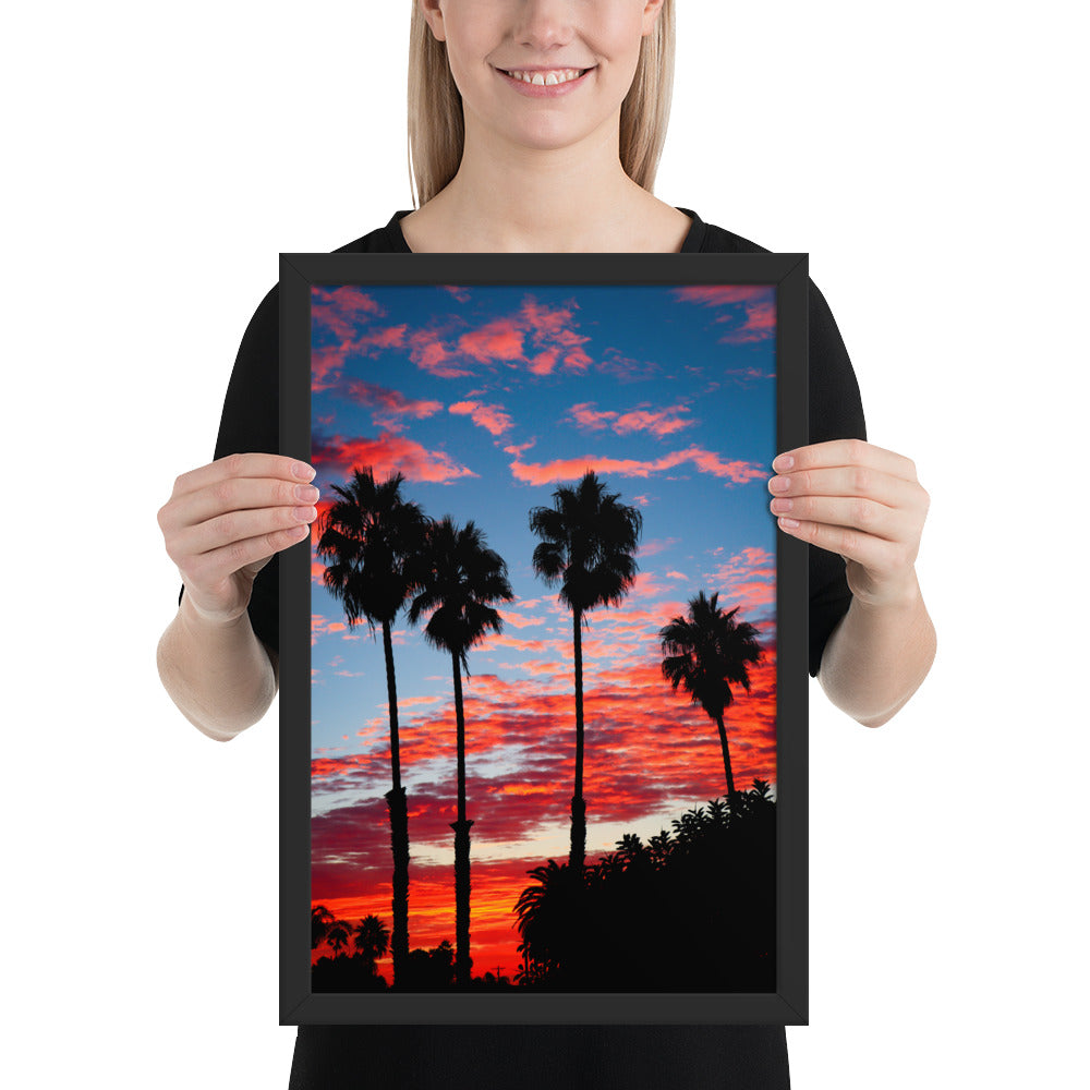 Palm Tree Sunrise Framed poster