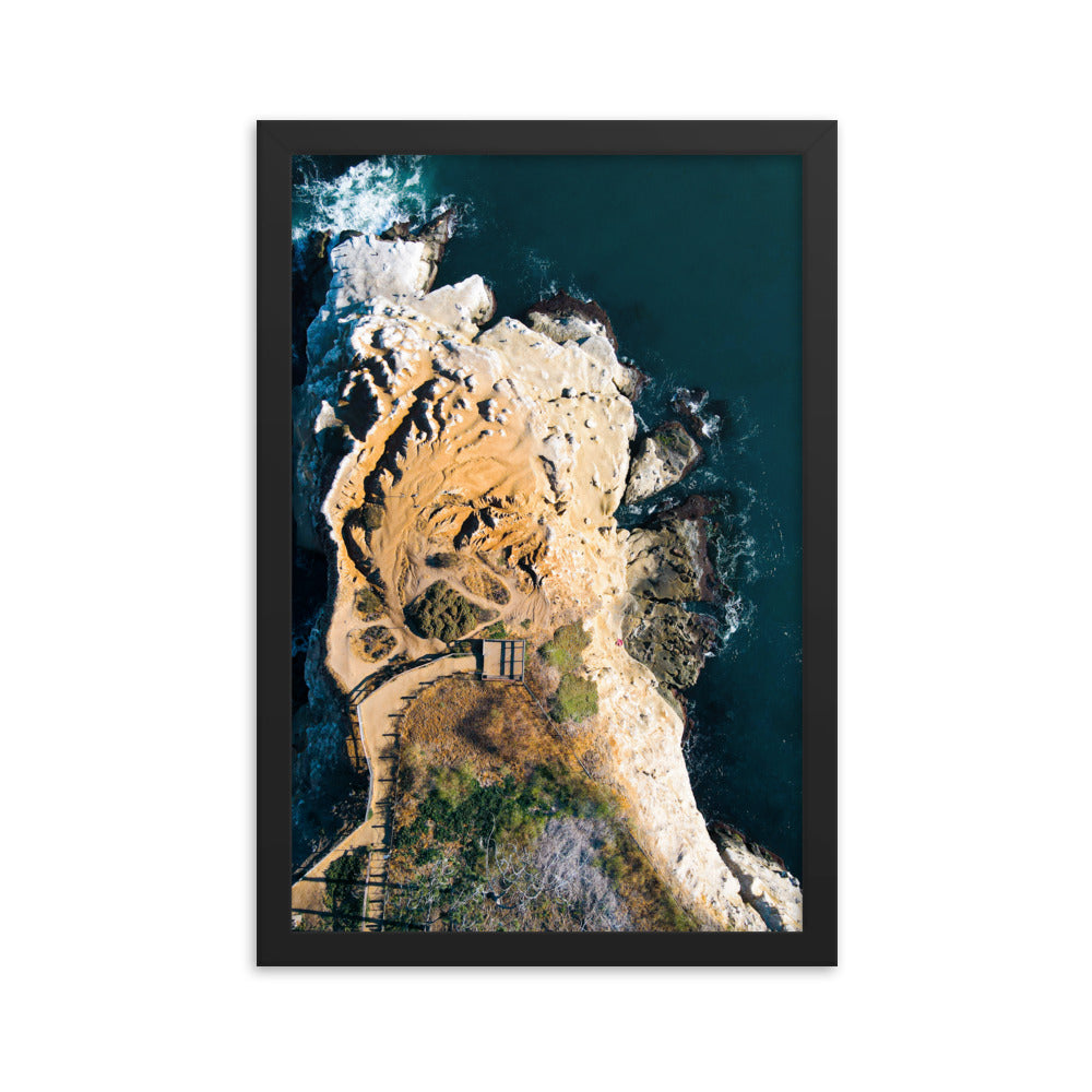 GoldfIsh Point Framed poster
