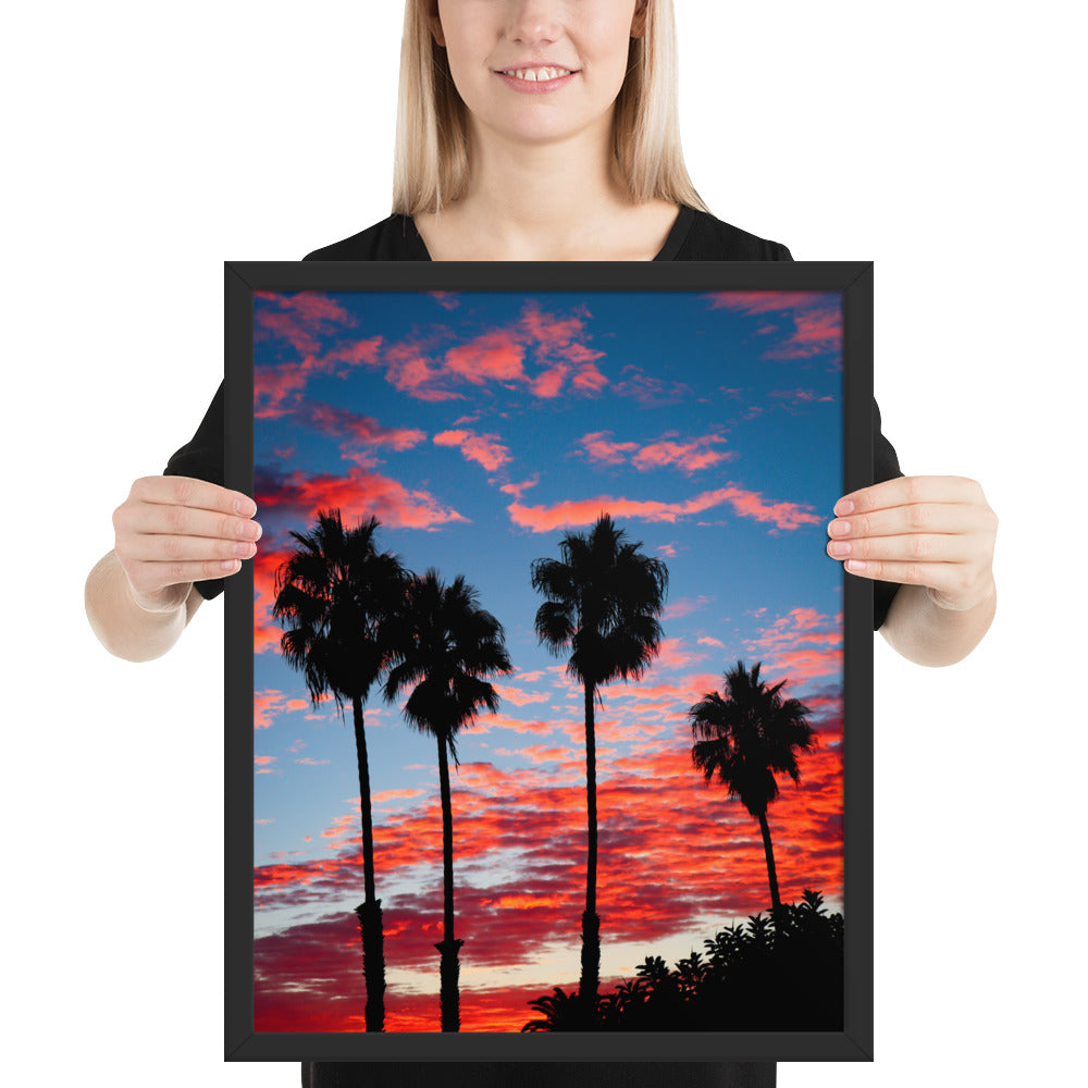 Palm Tree Sunrise Framed poster