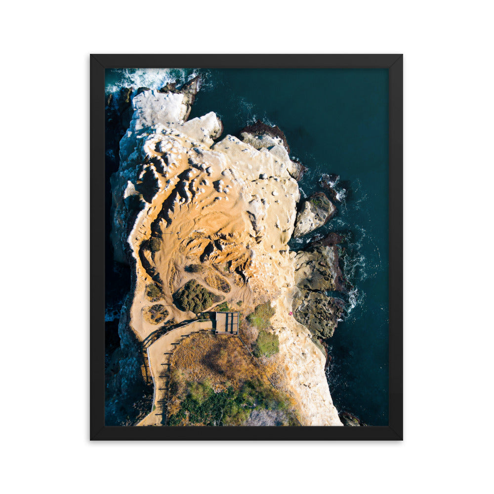 GoldfIsh Point Framed poster