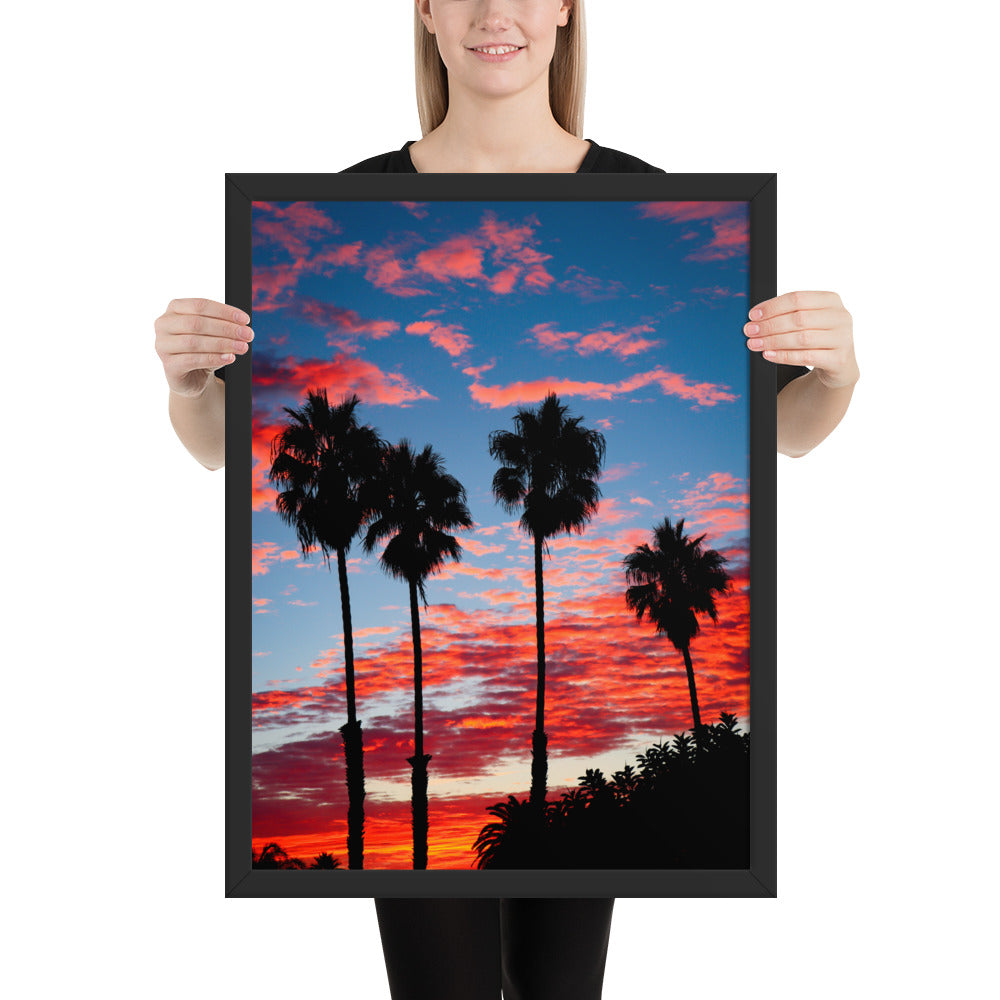 Palm Tree Sunrise Framed poster