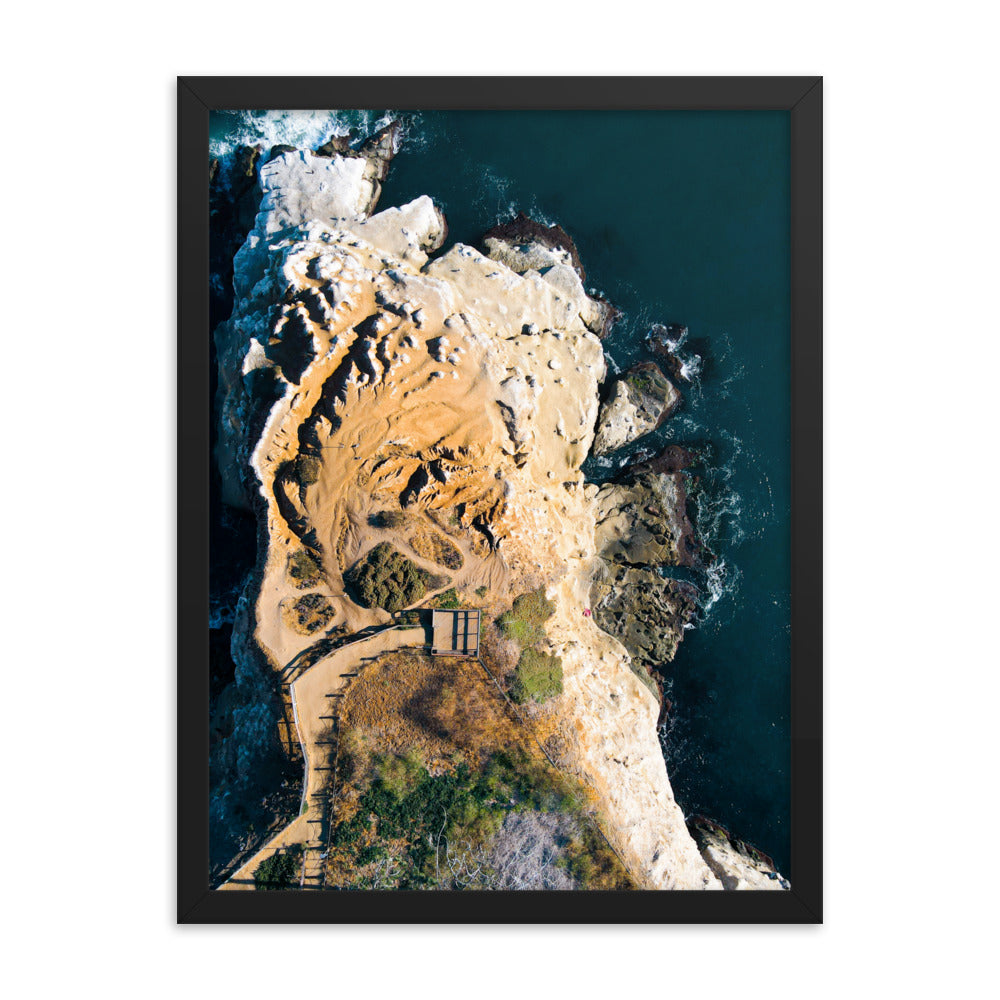 GoldfIsh Point Framed poster