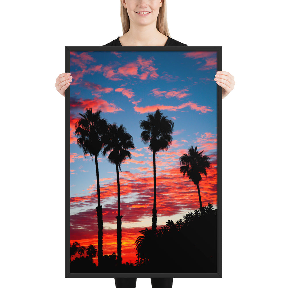Palm Tree Sunrise Framed poster