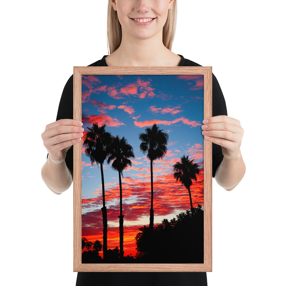 Palm Tree Sunrise Framed poster