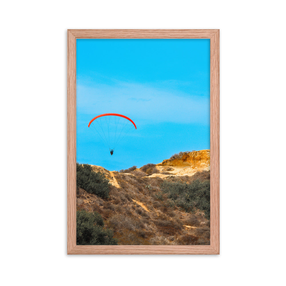 Fly By Framed poster