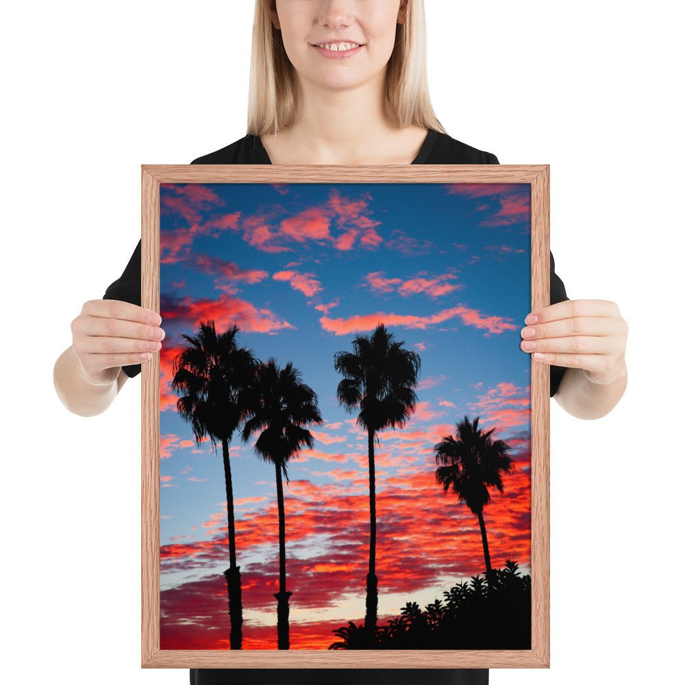 Palm Tree Sunrise Framed poster