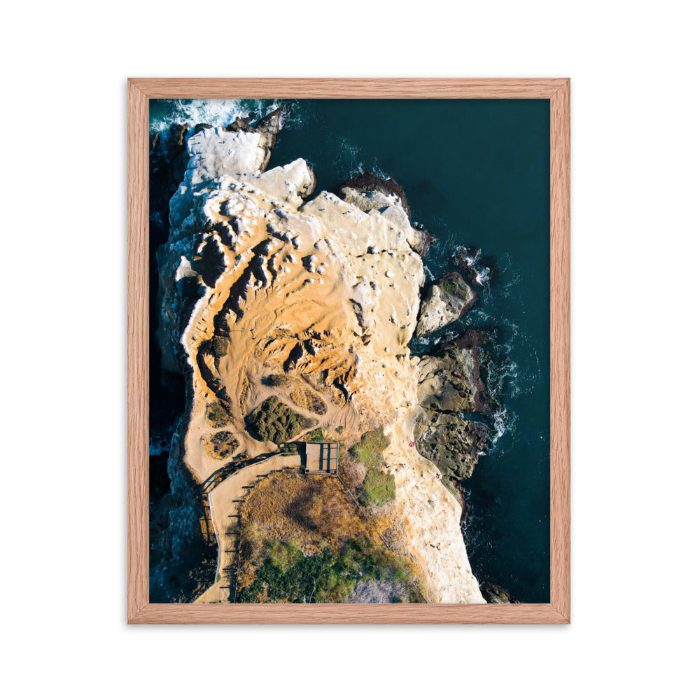 GoldfIsh Point Framed poster