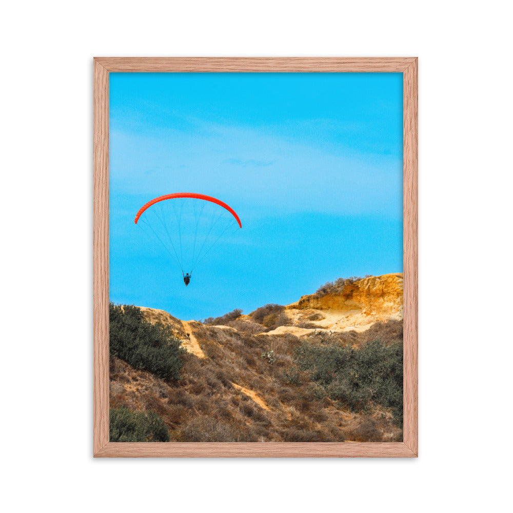 Fly By Framed poster