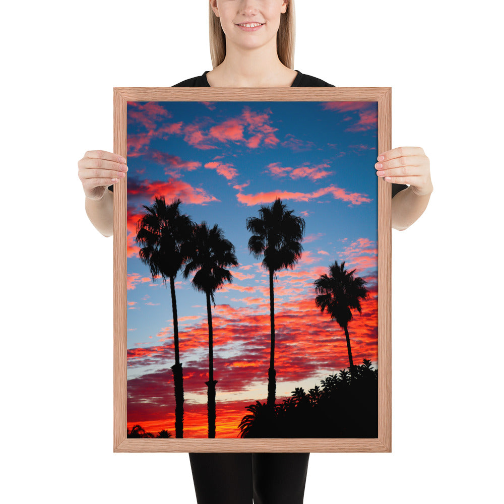 Palm Tree Sunrise Framed poster