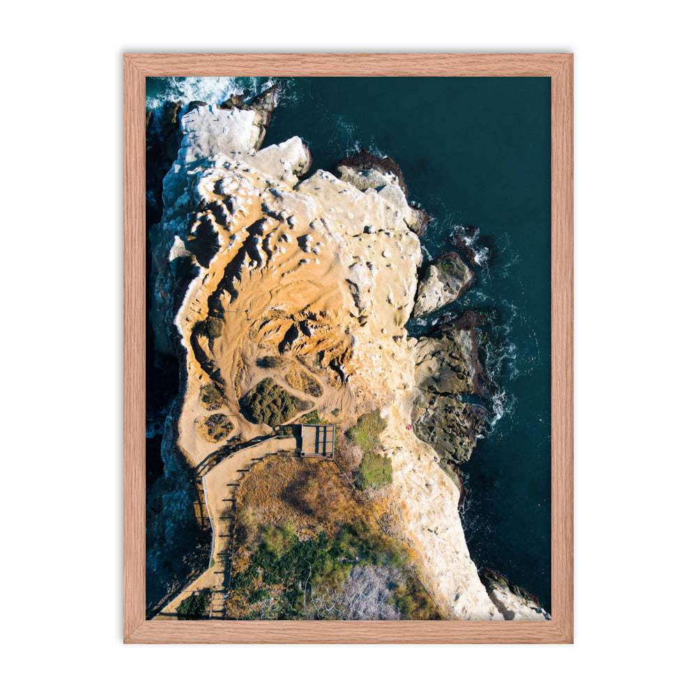 GoldfIsh Point Framed poster