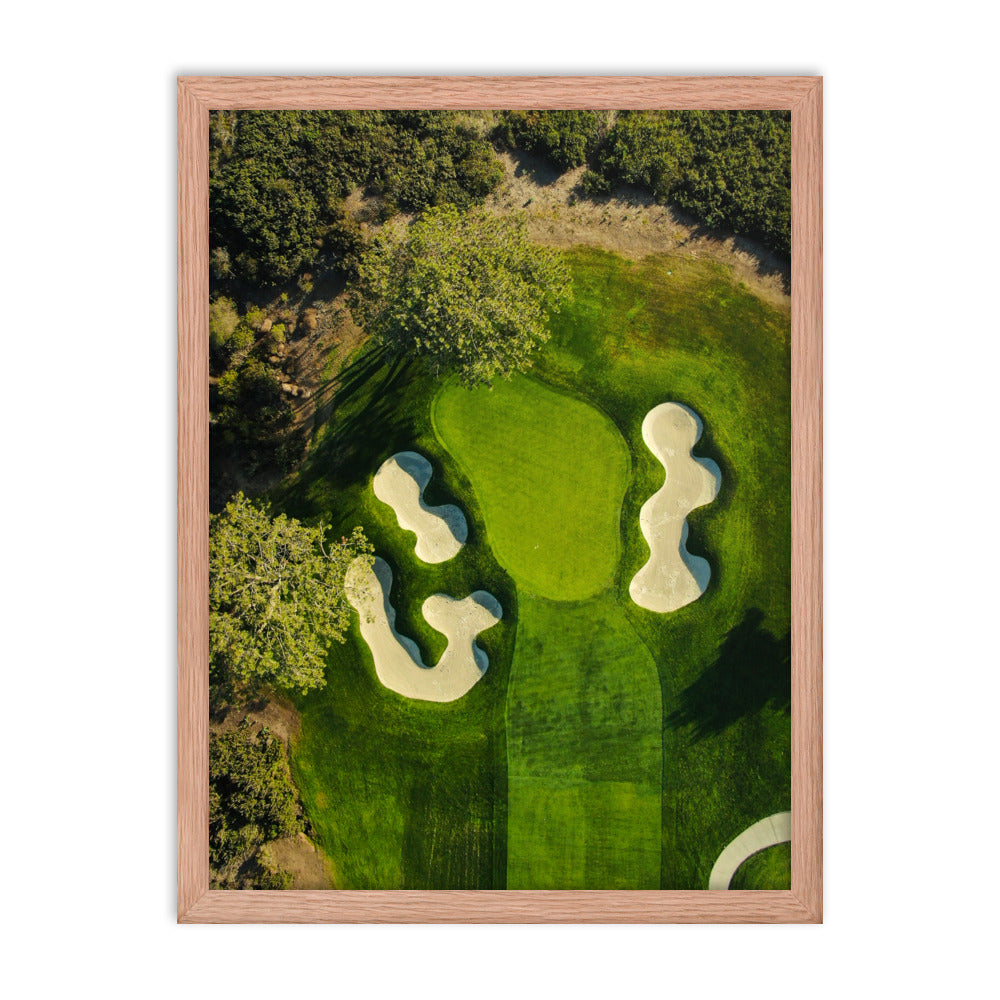 16th at Torrey Pines Framed poster