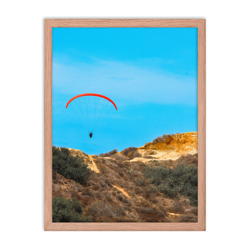 Fly By Framed poster