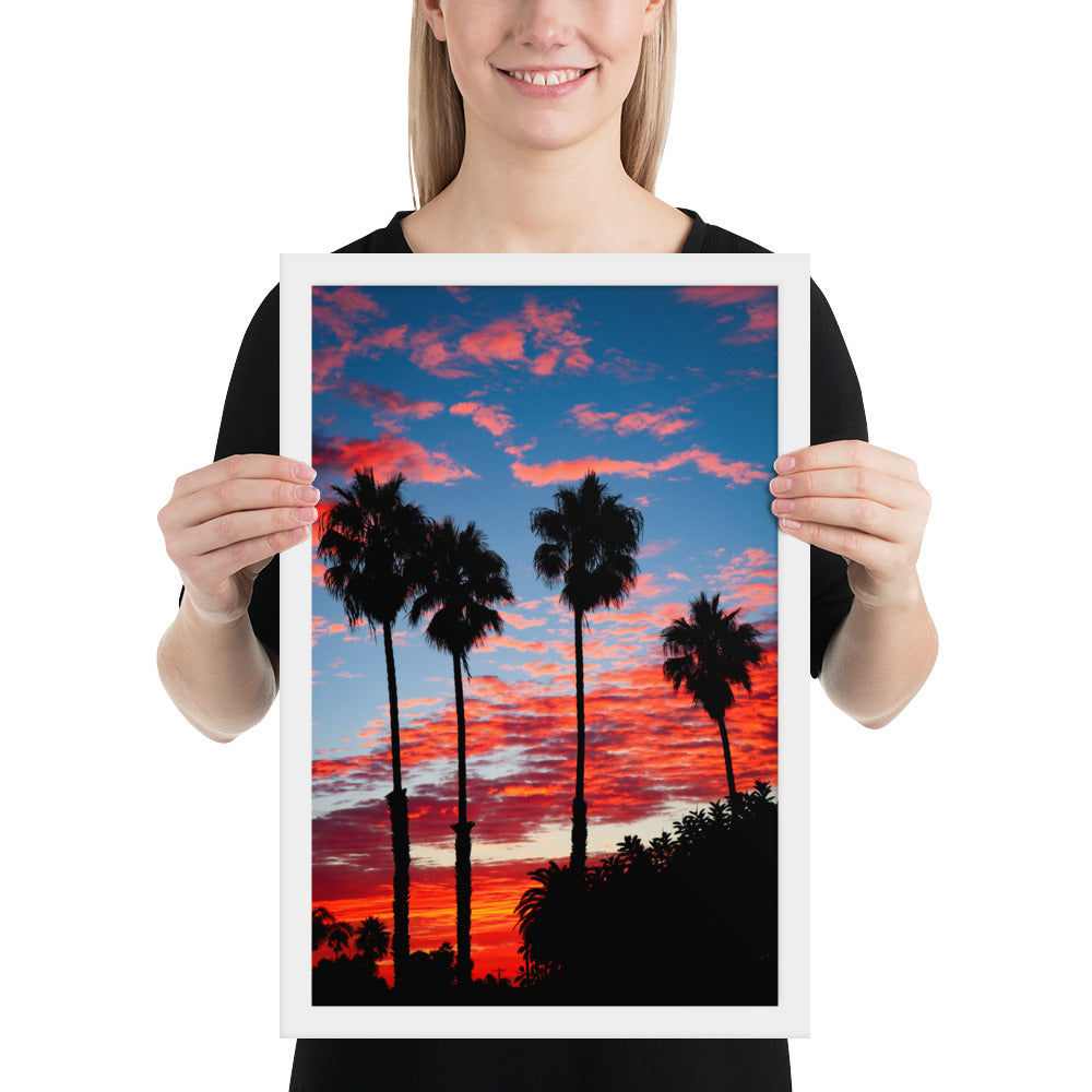 Palm Tree Sunrise Framed poster