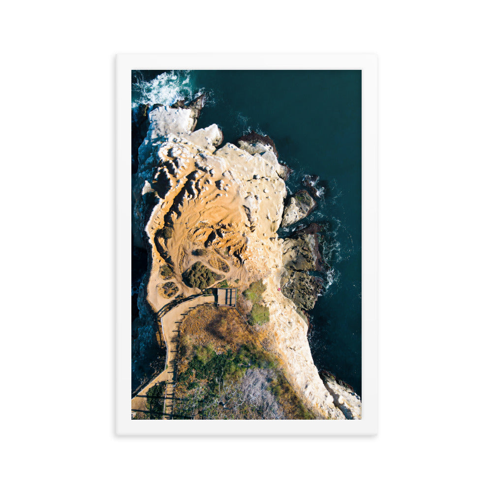 GoldfIsh Point Framed poster