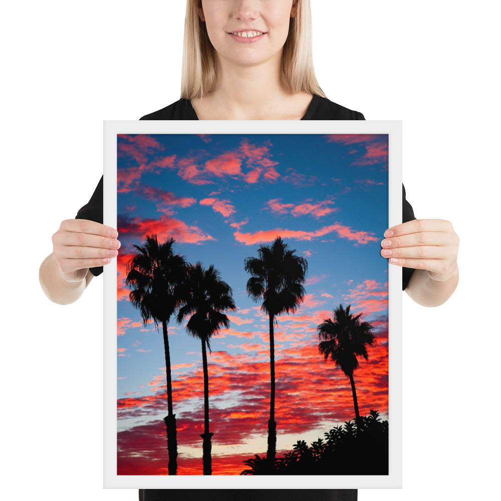 Palm Tree Sunrise Framed poster