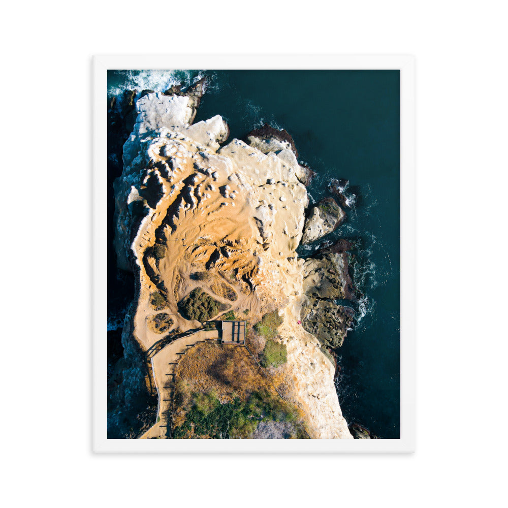 GoldfIsh Point Framed poster