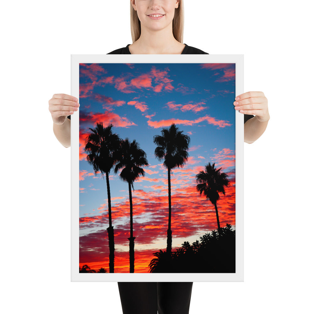 Palm Tree Sunrise Framed poster