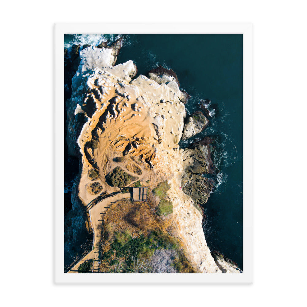 GoldfIsh Point Framed poster