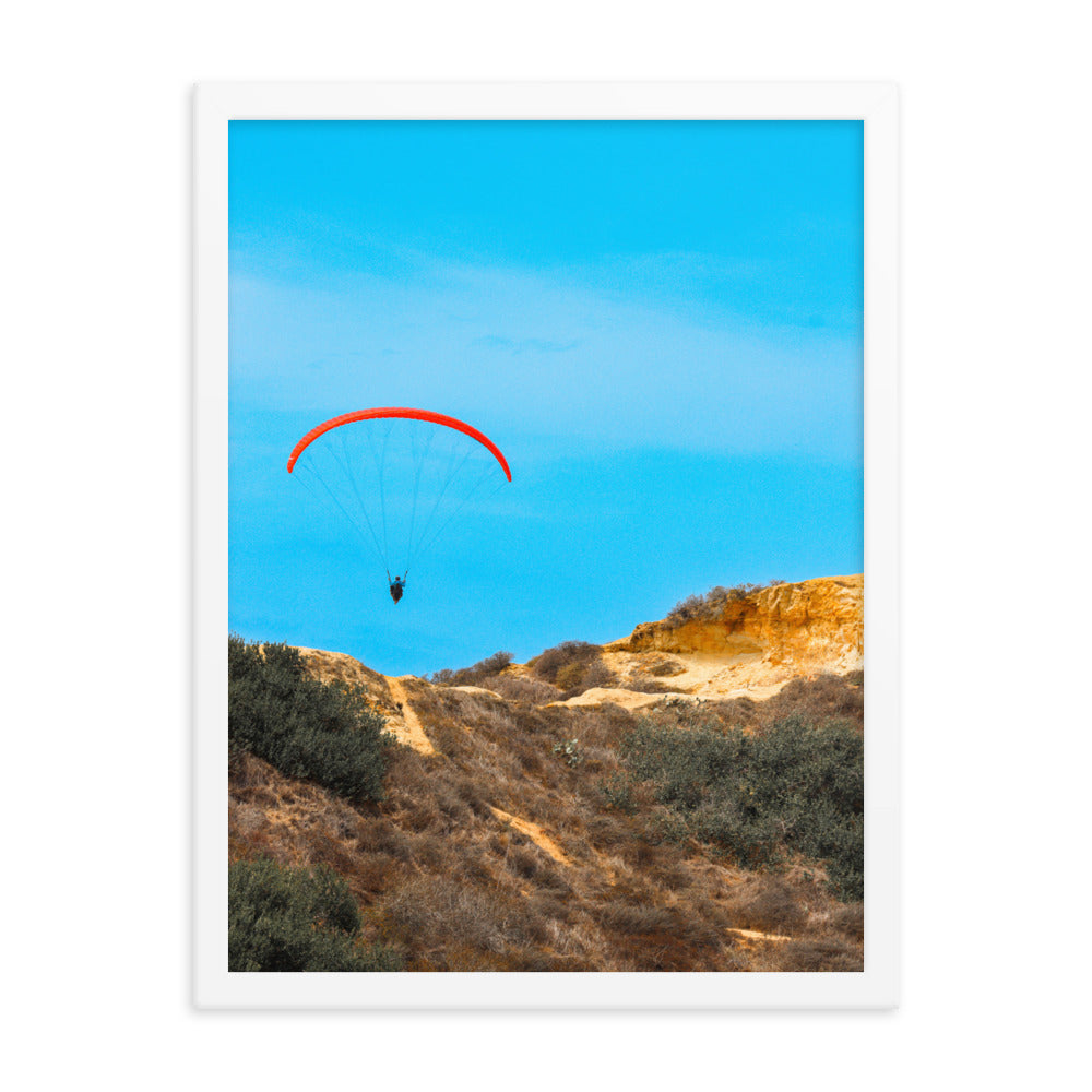 Fly By Framed poster