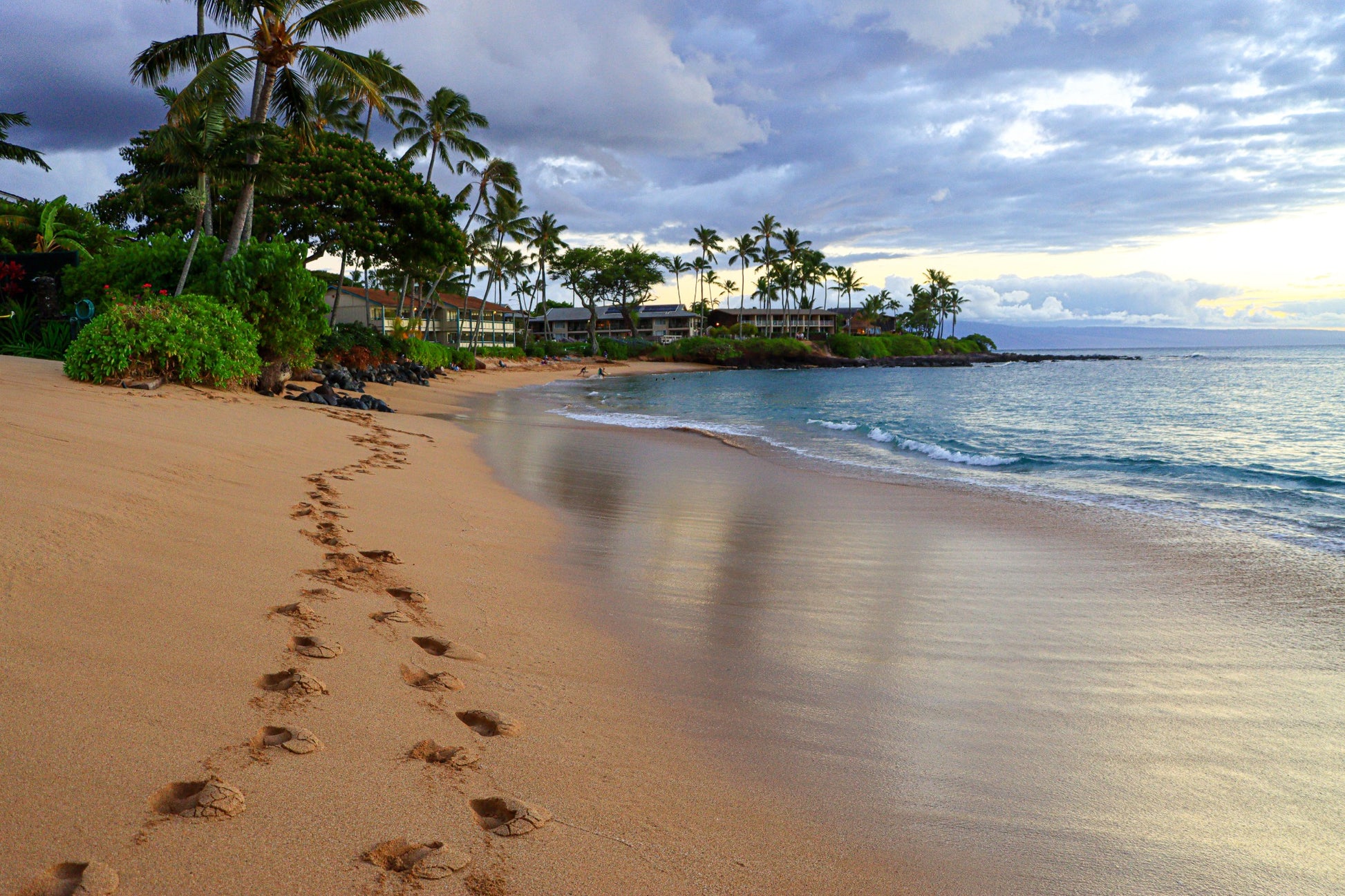 Footprints along a sandy palm-lined beach beside calm ocean water.