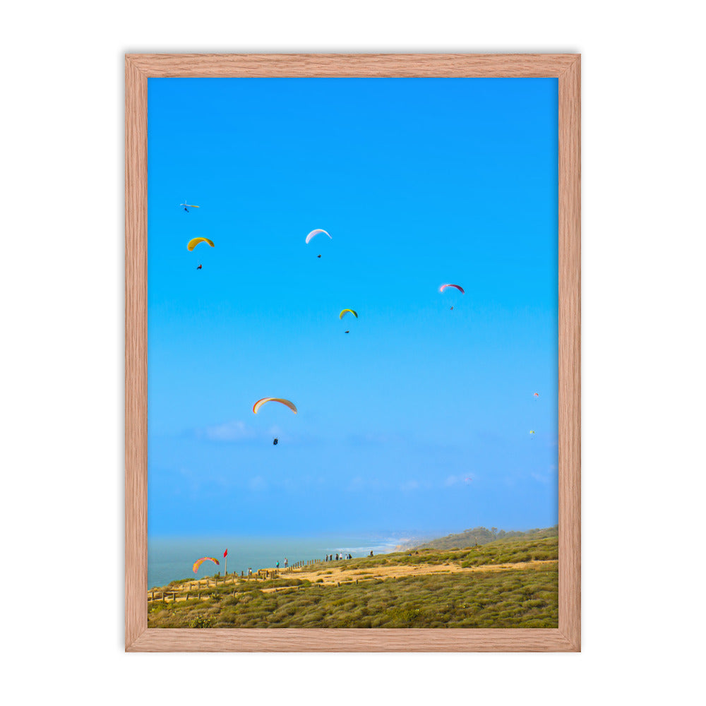 Flying High Framed poster