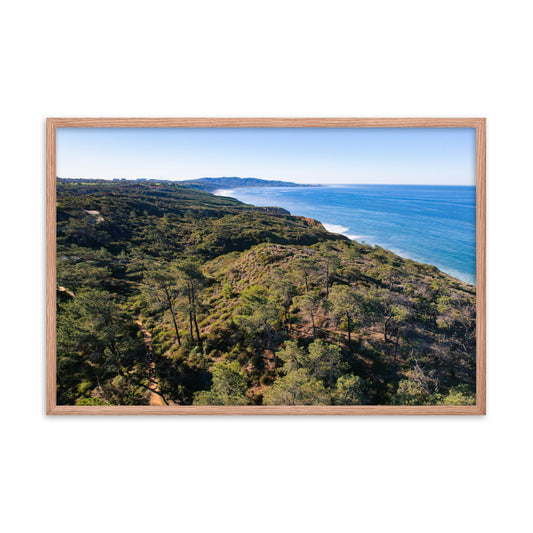 In The Trees Framed poster