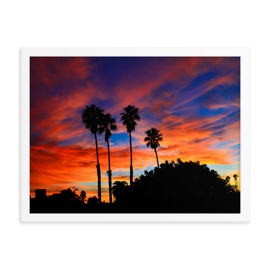 Sunrise Palm Framed poster