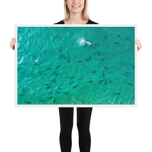 Swimming With Sharks in the Sea Framed poster