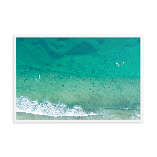 Sharks & swimmers Framed poster