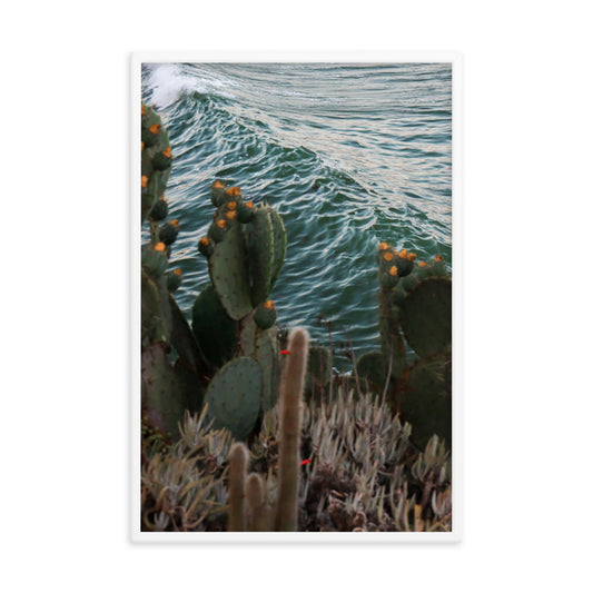 Cactus Surf Framed poster