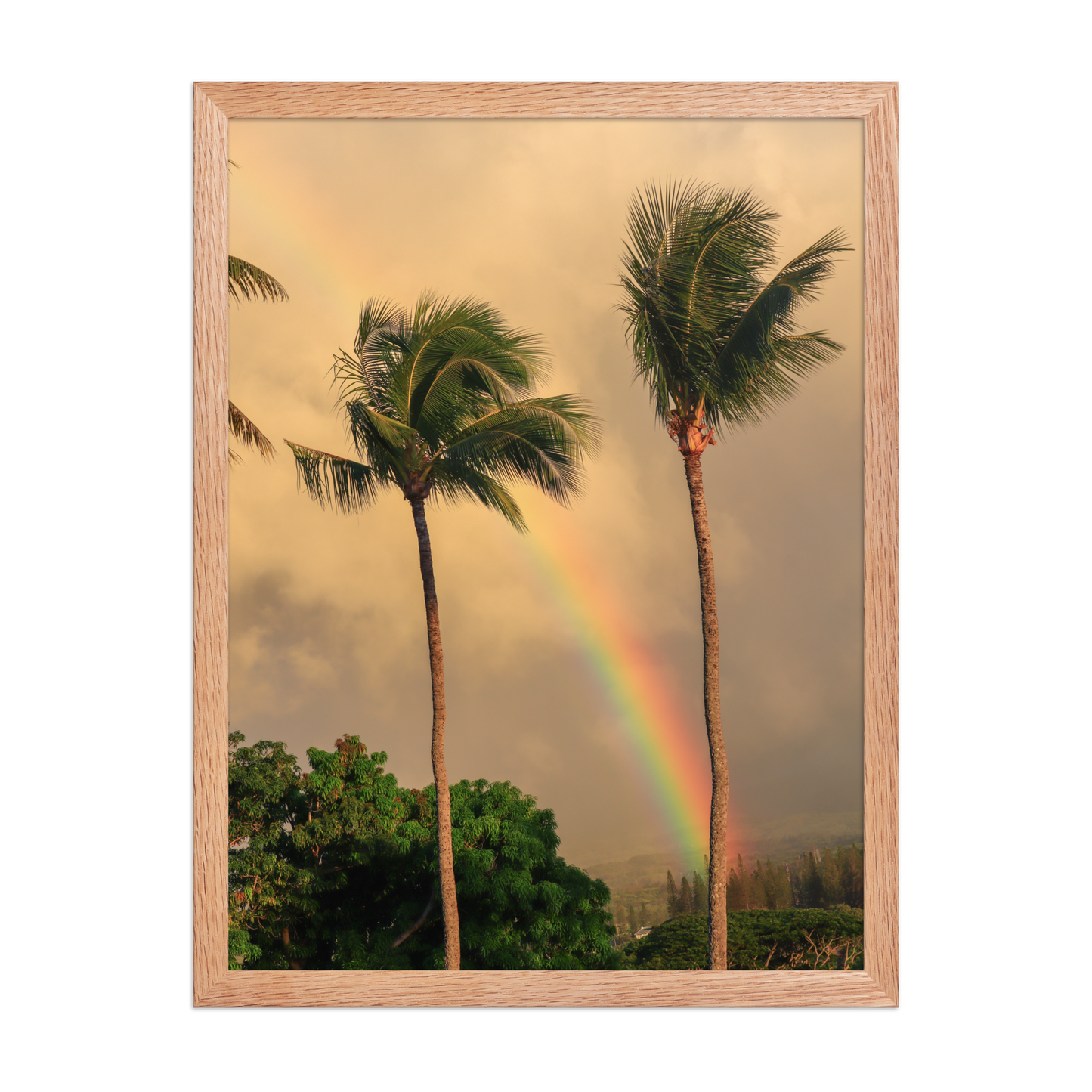 A rainbow rises behind palm trees beneath a warm Hawaiian sky; wood frame, 18 × 24 inches.
