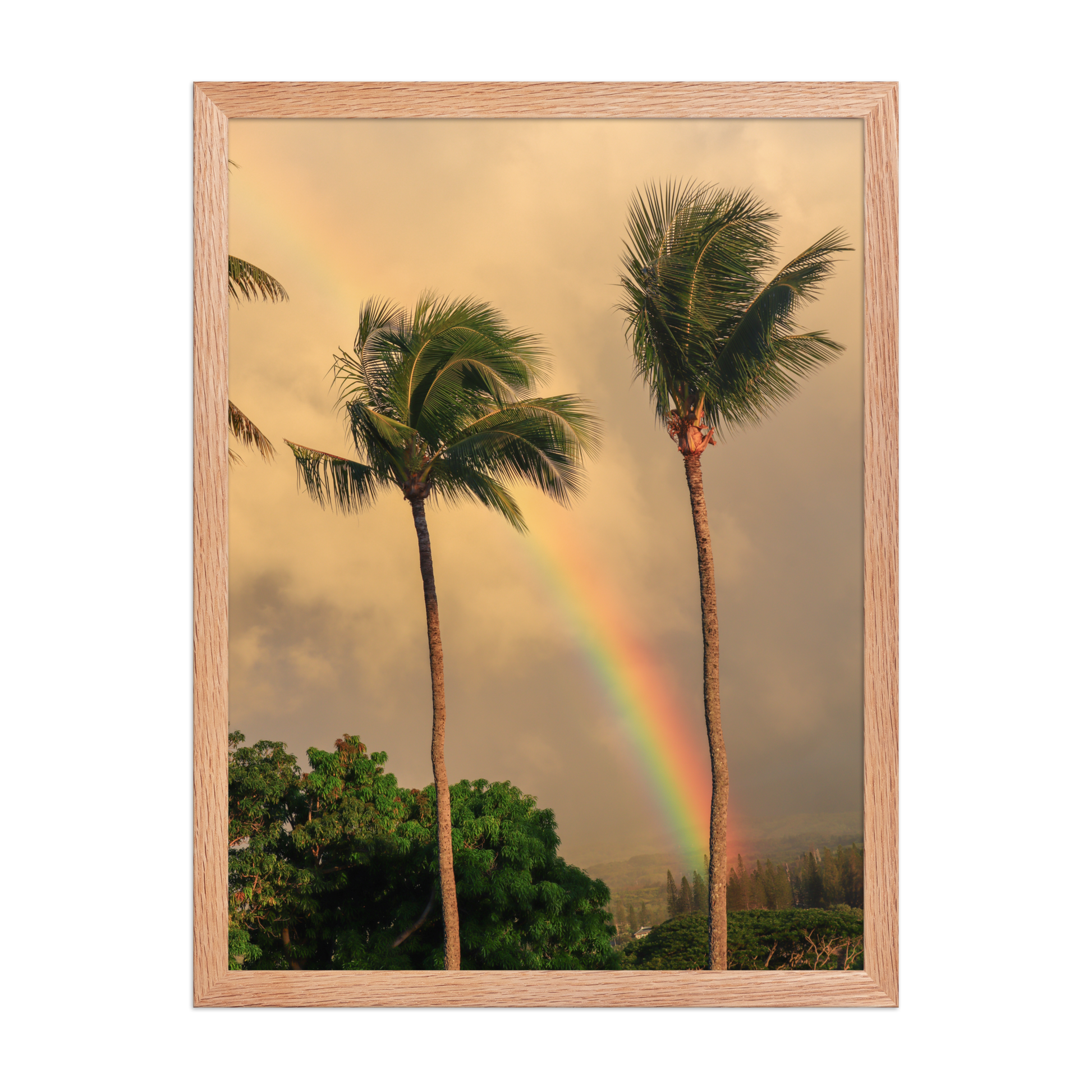 A rainbow rises behind palm trees beneath a warm Hawaiian sky; wood frame, 18 × 24 inches.