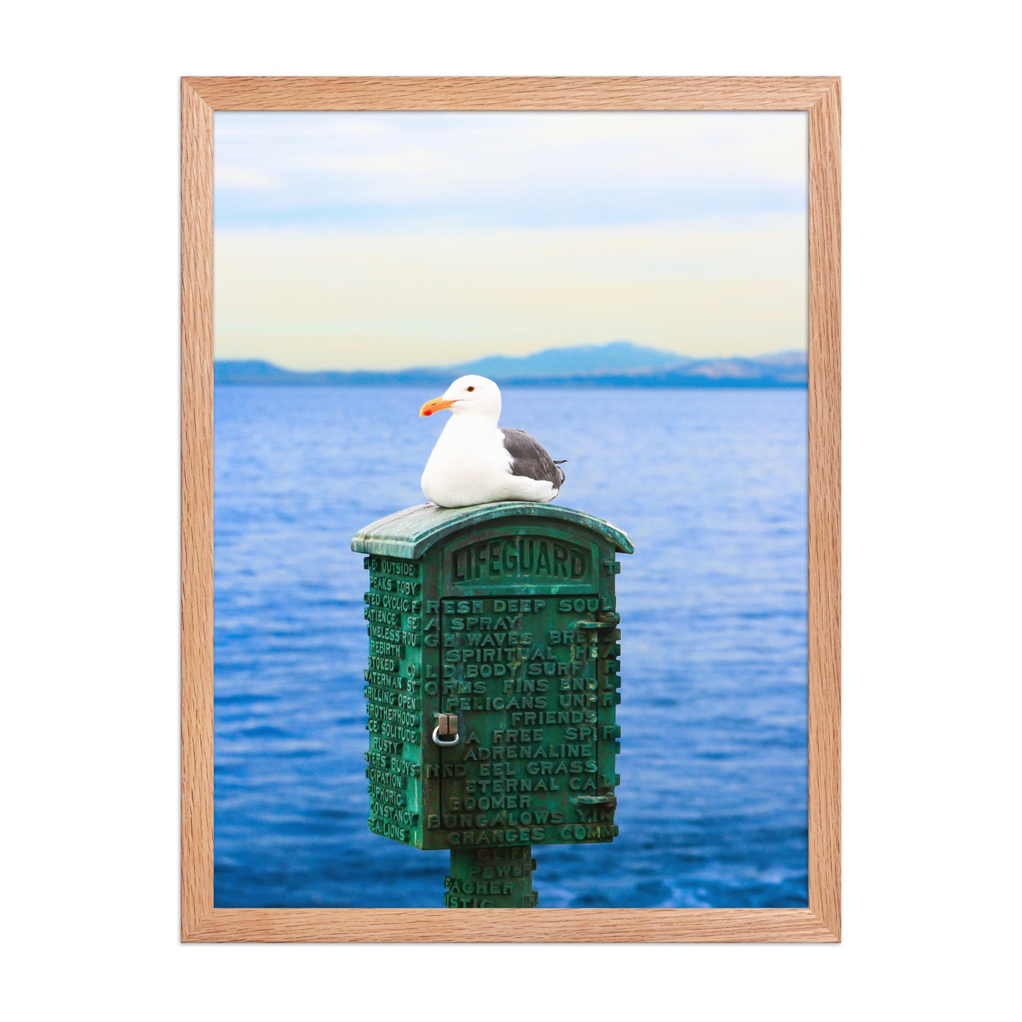 A seagull rests on a green coastal box above blue water, with a distant shoreline on the horizon; wood frame, 18 × 24 inches.