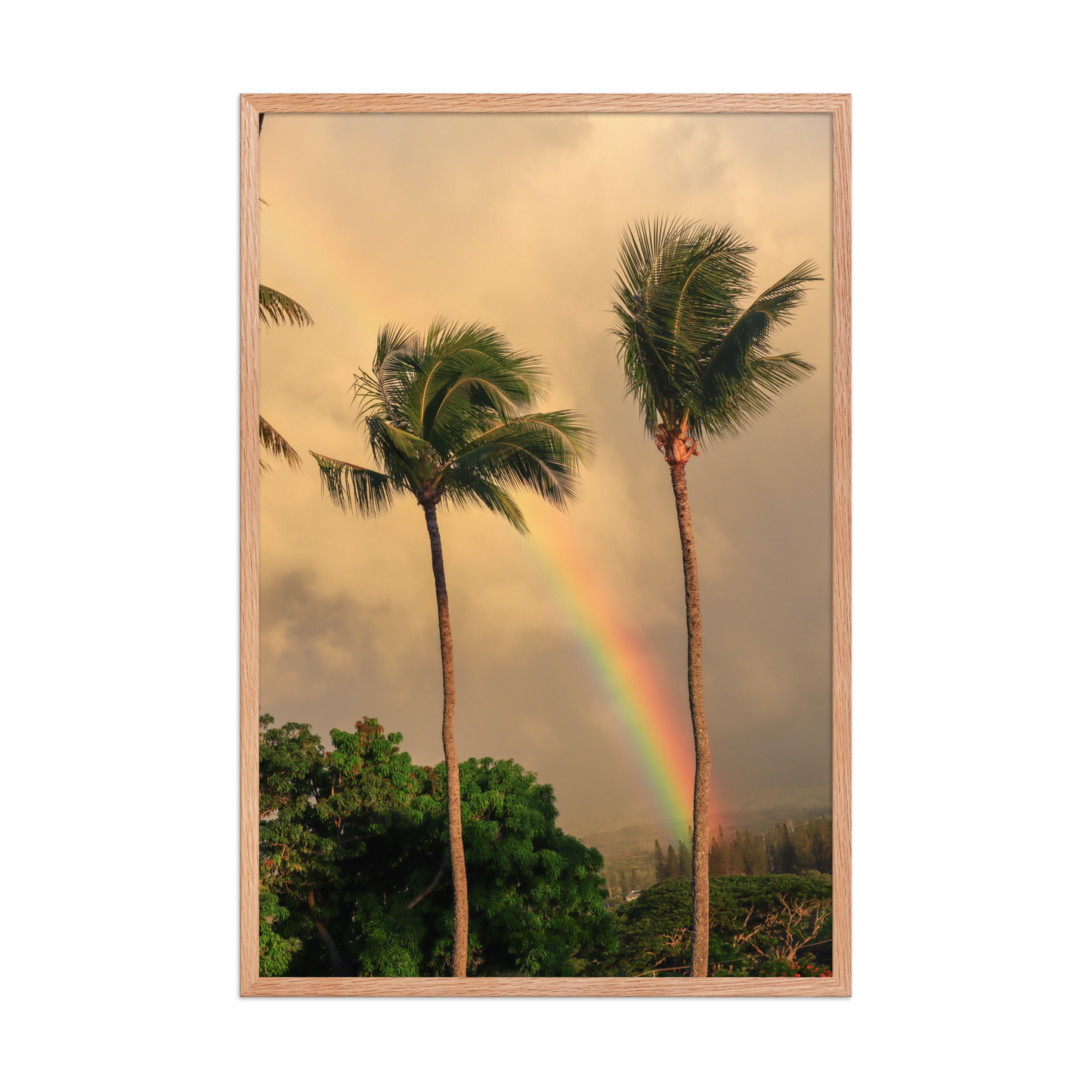 A rainbow rises behind palm trees beneath a warm Hawaiian sky; wood frame, 24 × 36 inches.