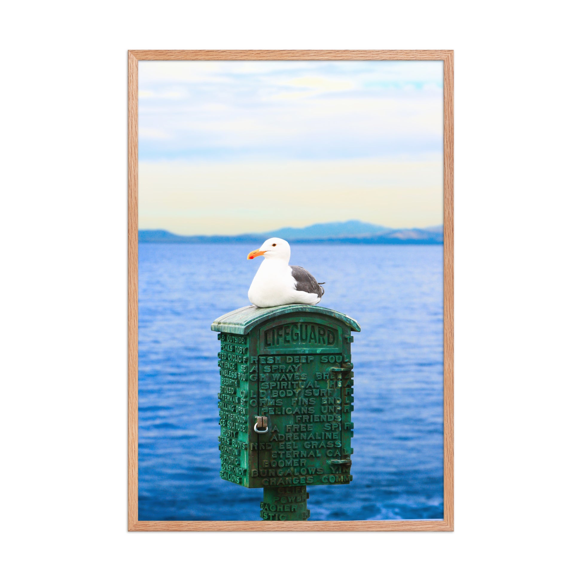 A seagull rests on a green coastal box above blue water, with a distant shoreline on the horizon; wood frame, 24 × 36 inches.