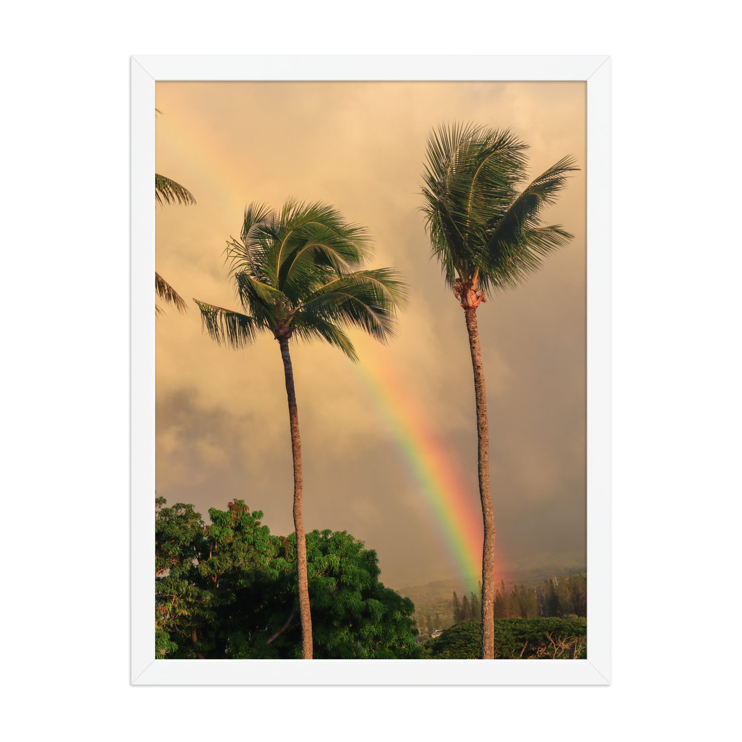 A rainbow rises behind palm trees beneath a warm Hawaiian sky; white frame, 18 × 24 inches.