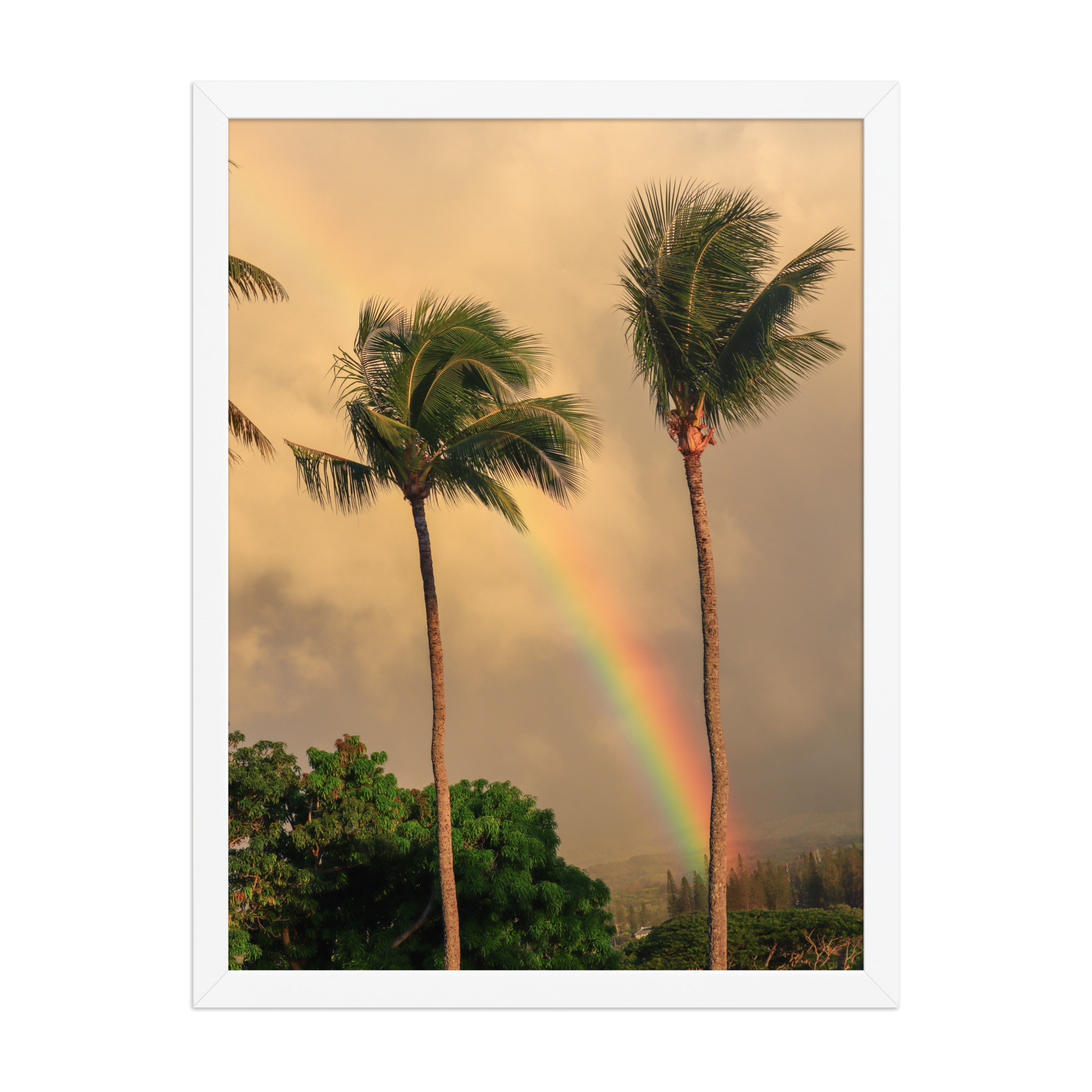 A rainbow rises behind palm trees beneath a warm Hawaiian sky; white frame, 18 × 24 inches.
