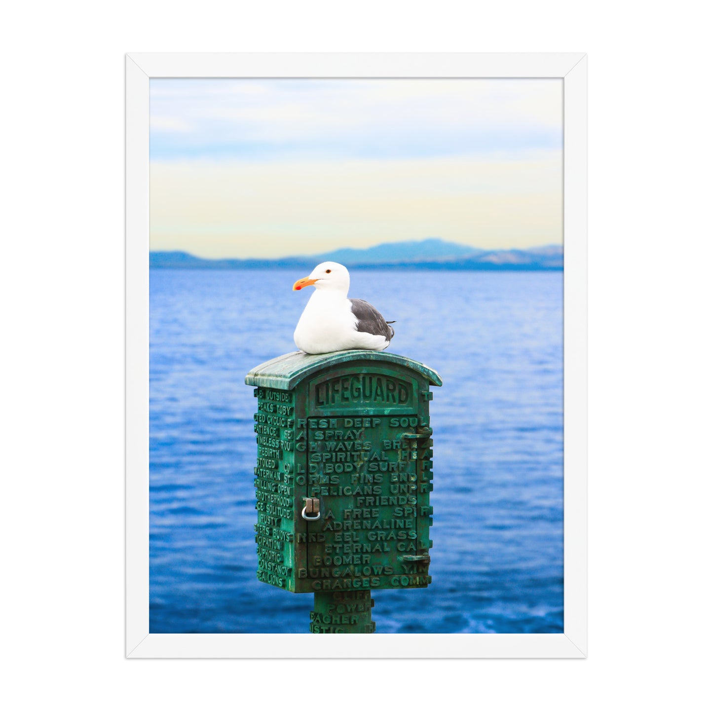 A seagull rests on a green coastal box above blue water, with a distant shoreline on the horizon; white frame, 18 × 24 inches.