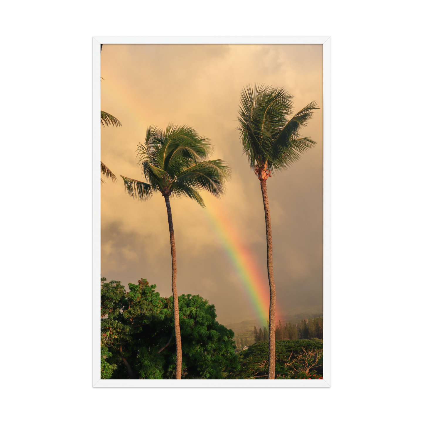 A rainbow rises behind palm trees beneath a warm Hawaiian sky; white frame, 24 × 36 inches.