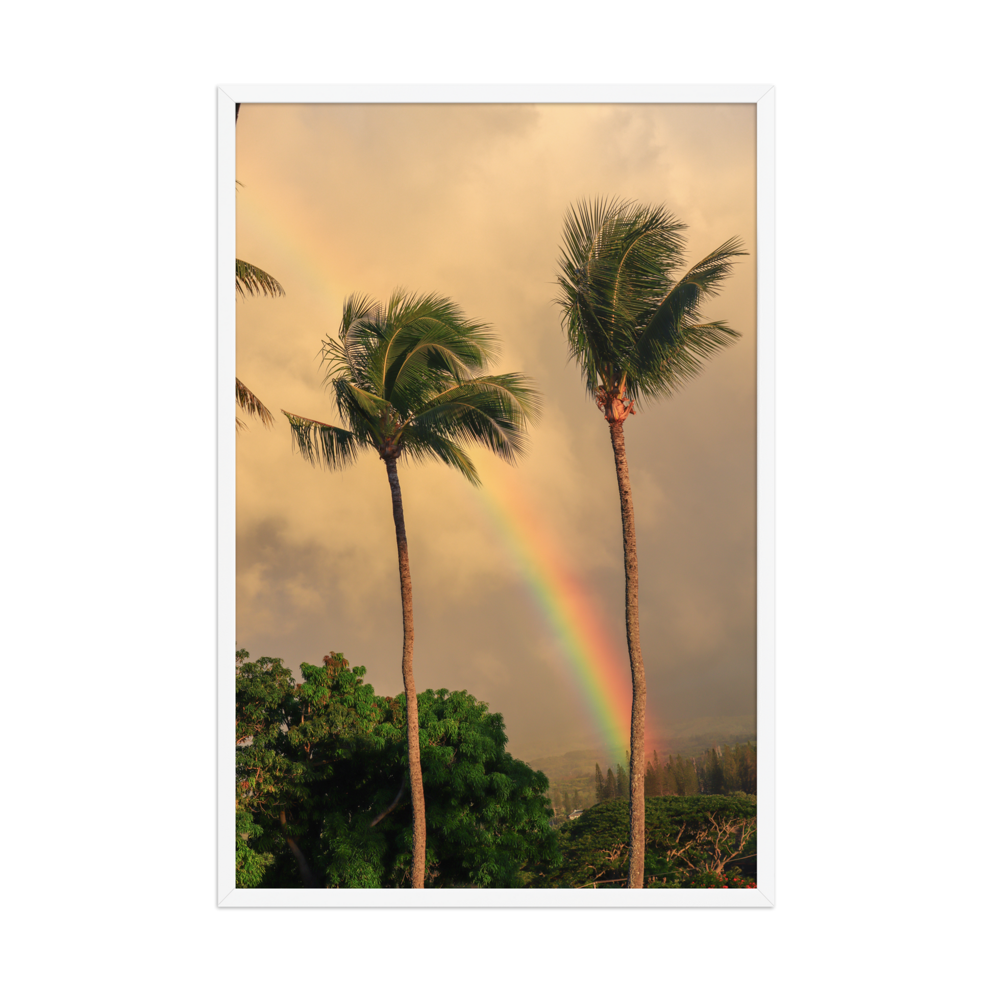 A rainbow rises behind palm trees beneath a warm Hawaiian sky; white frame, 24 × 36 inches.