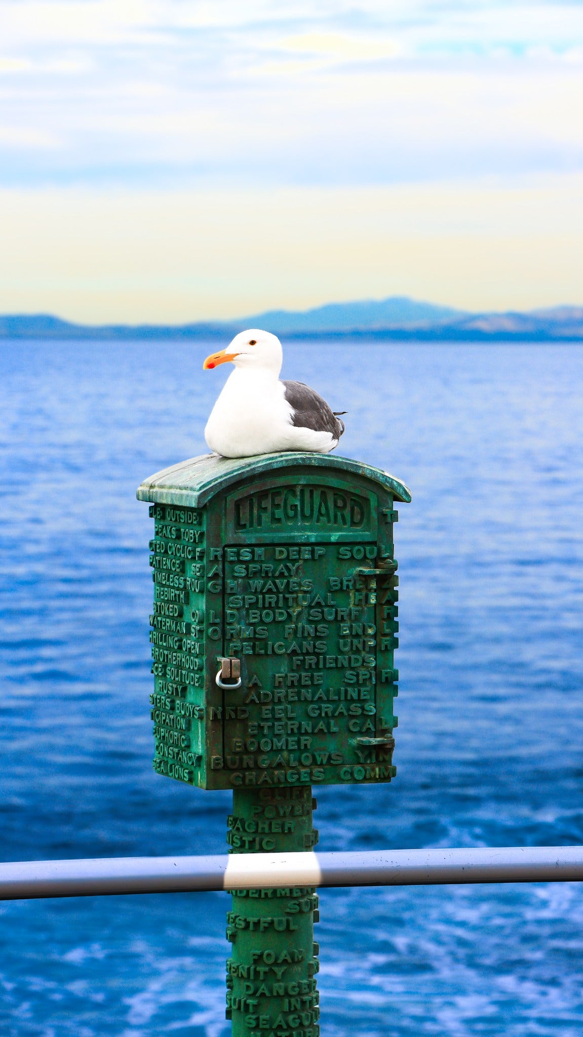 Seagull perched on a green lifeguard call box overlooking the ocean.