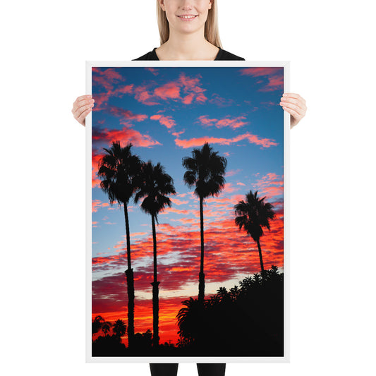 Palm Tree Sunrise Framed poster
